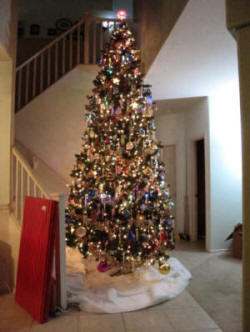 Our 12-foot Christmas Tree