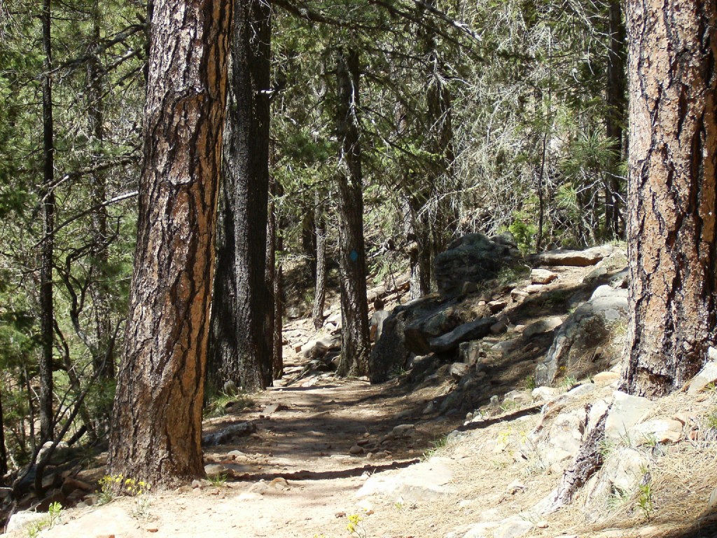 A well-maintained trail led to the lake.