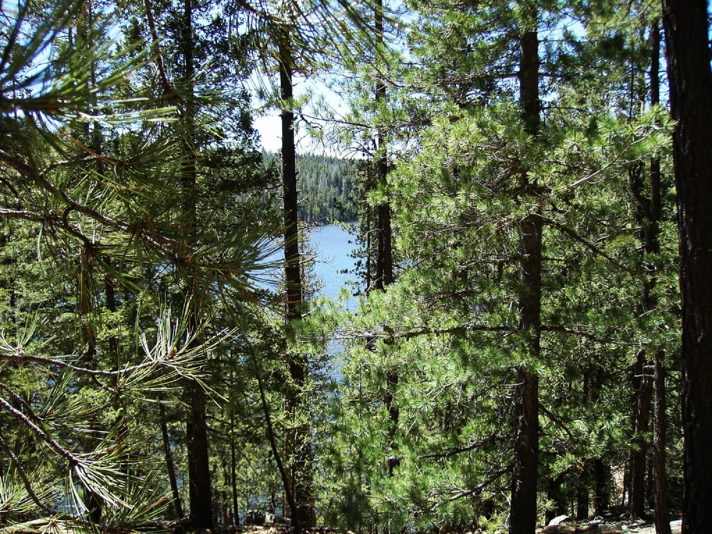 Tantalizing views of the lake peeked through the pines.