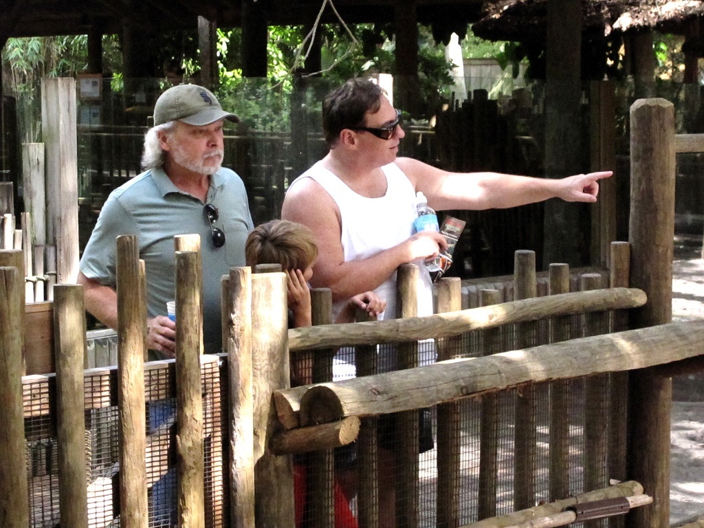 Mikey, Zach, and Michael look at alligators.