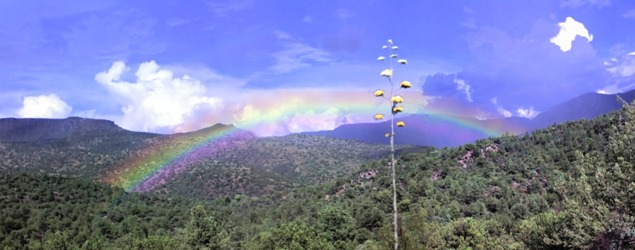 Verde Canyon Rainbow