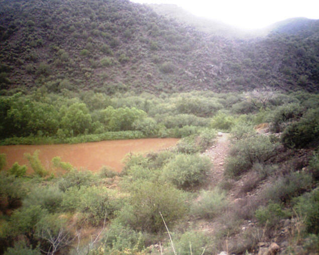 The Verde River had been turned brown by the rains washing mud into it.