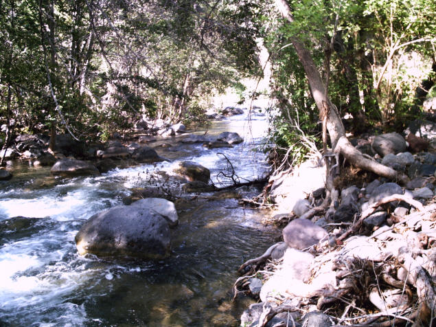 Fossil Creek: Looking downstream