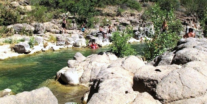 Fellow bathers at Fossil Creek.