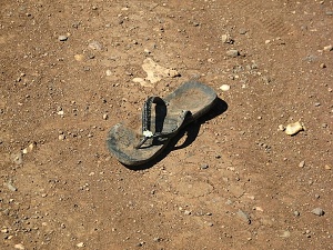 The sandal in the road.