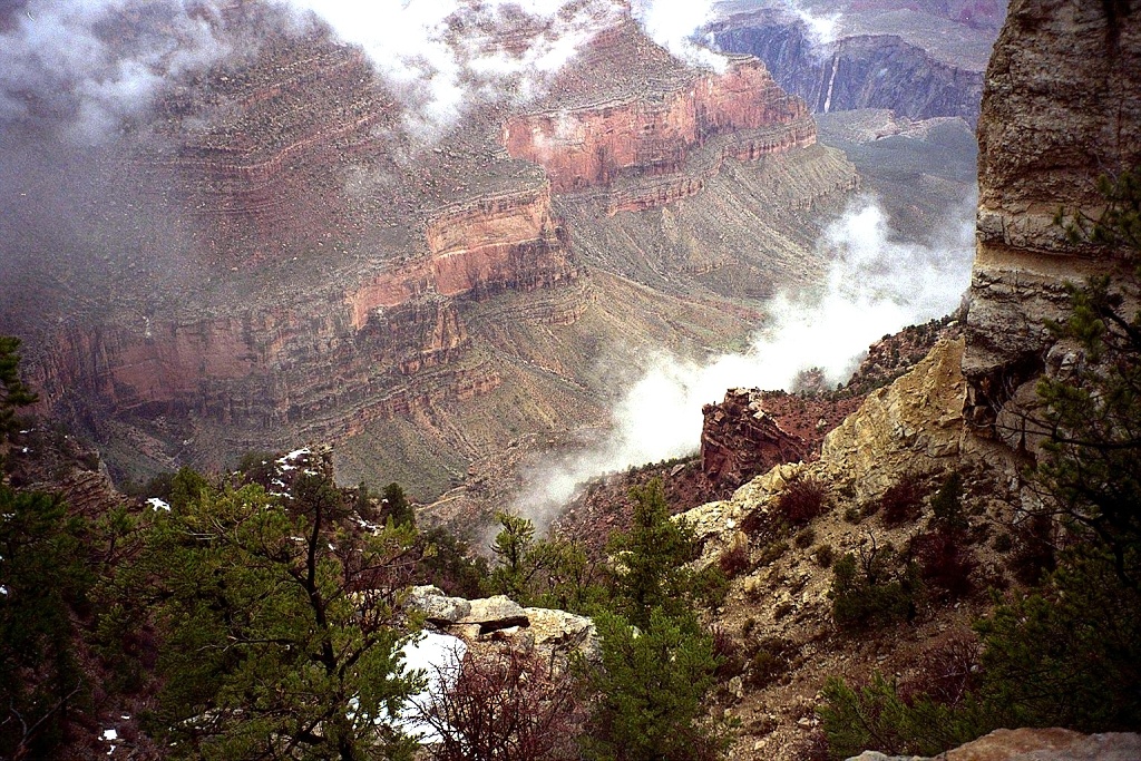 Festoons of fog decorate the Canyon.