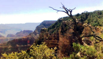 Grand Canyon from Yavapai Point.