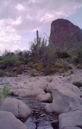 Eroded rocks of Tortilla Flat.