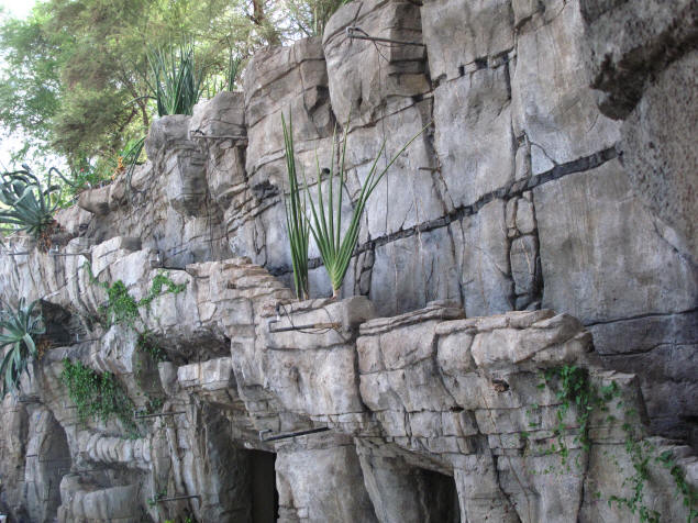 A Biosphere 2 cliff wall. Faux rock.