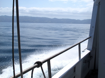 Approaching Santa Catalina Island