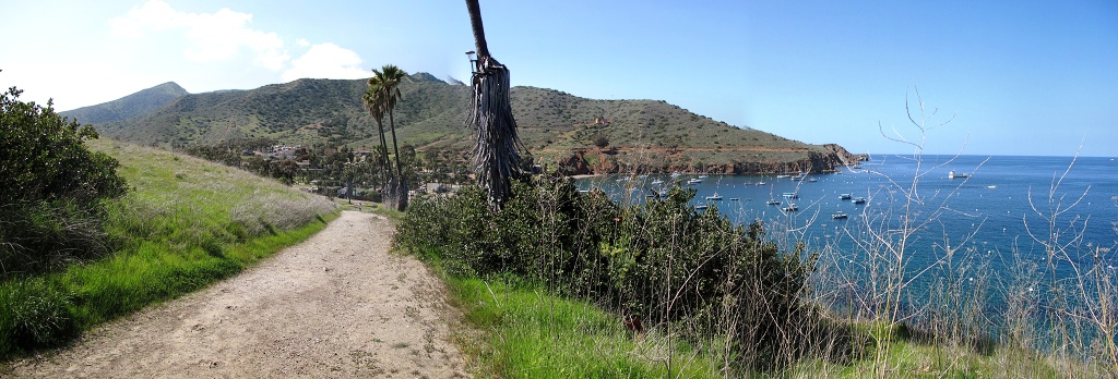One of Two Harbors' harbors from the campground trail.
