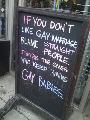 If you don't like gay marriage, blame straight people. They're the ones who keep having gay babies.